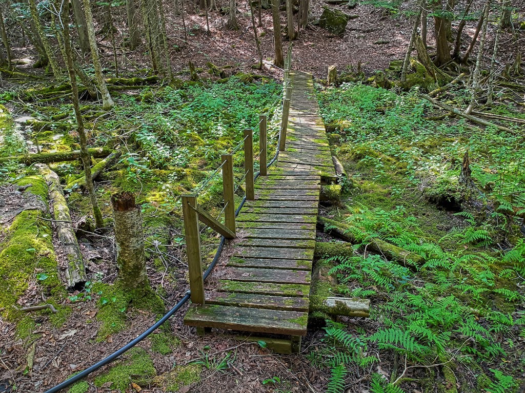 Camp Burbalac | 3E0, 553 Julian Lake Rd, Woodview, ON K0L 2H0, Canada | Phone: (705) 745-5169