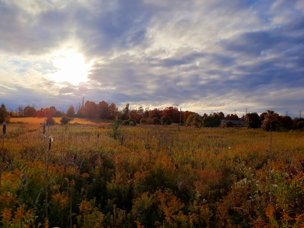 Leaning Stable Acres | 6417 Holt Rd, Hampton, ON L0B 1J0, Canada | Phone: (289) 943-1175