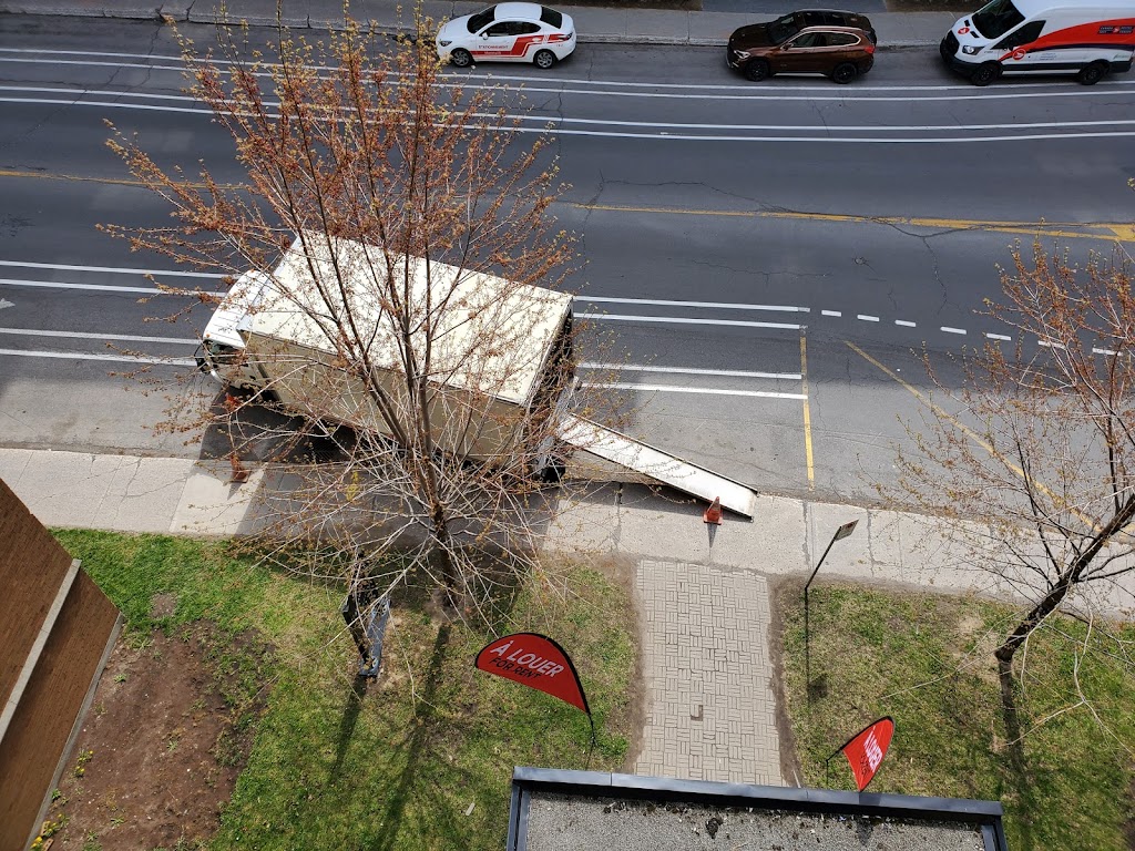 Transport Go Direct Express | 4038 Rue du Progrès, Montréal, QC H1H 2E1, Canada | Phone: (514) 578-7398