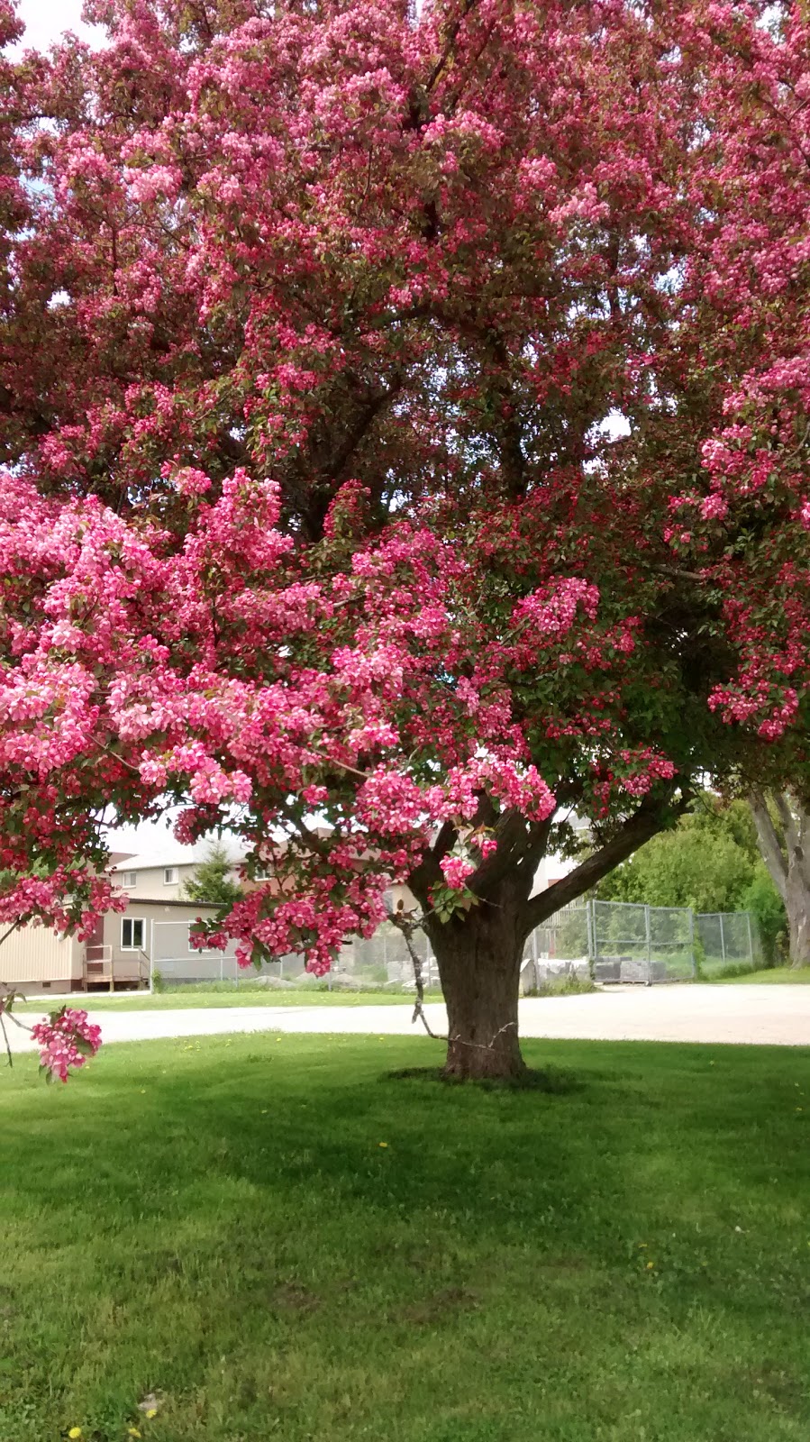 Lord Elgin Park | 26 Fourth St, Bowmanville, ON L1C 2G4, Canada