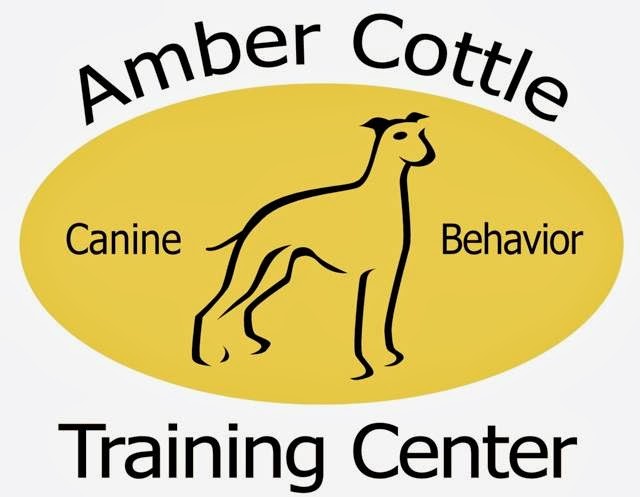 Amber Cottle Canine Training | 102-7562 Progress Way, Delta, BC V4G 1E9, Canada | Phone: (604) 946-7529