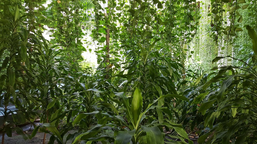 InteriorPlants.ca | 3092 Mavis Rd, Mississauga, ON L5C 1T8, Canada | Phone: (416) 904-7344