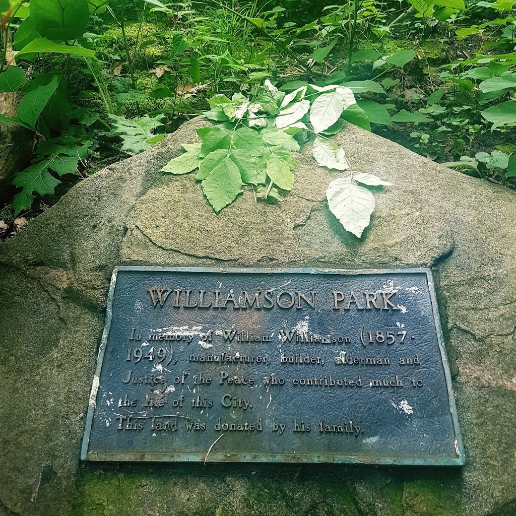 Williamson Park Ravine | 1680 Gerrard St E, Toronto, ON M4L 2K5, Canada