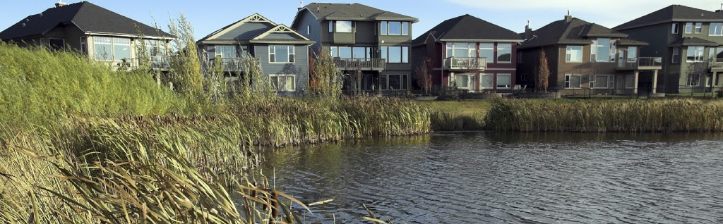 Monika Furtado: Calgary Realtor, CIR REALTY | 168 - 8060 Silver Springs Blvd NW, Calgary, AB T3B 5K1, Canada | Phone: (403) 850-2446