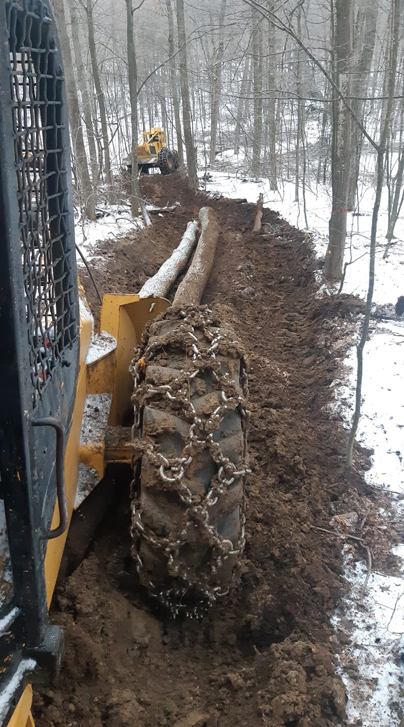 Leclair Forestry Services | Lazier Rd, Belleville, ON K8N 4Z6, Canada | Phone: (888) 917-9663