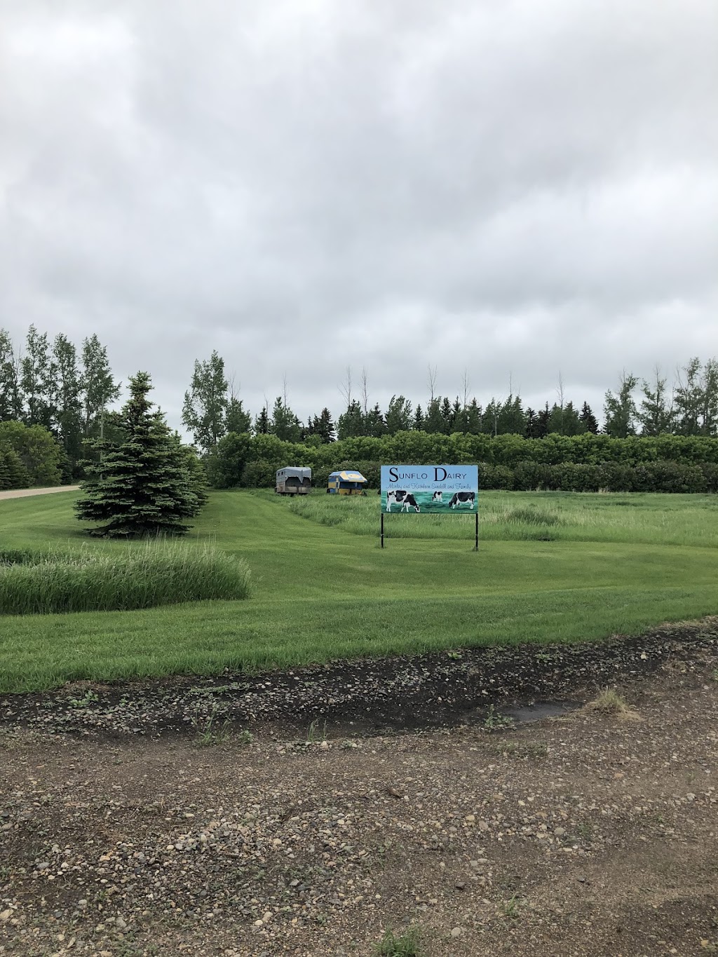 Sunflo Dairy | 64038 MB-2, Holland, MB R0G 0X0, Canada | Phone: (204) 526-2504