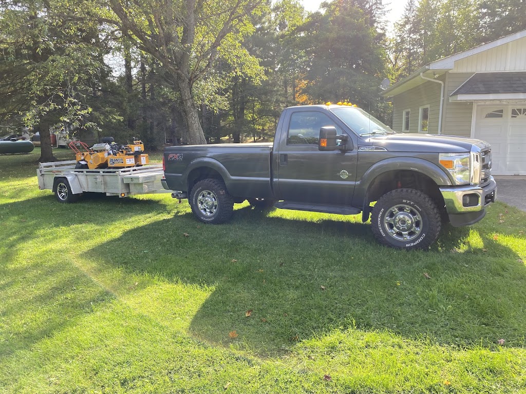 Stumpin’ Tom’s Stump Grinding | 1012 Wonderland Rd, Haliburton, ON K0M 1S0, Canada | Phone: (705) 455-2838