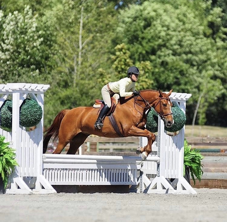Riverside Equestrian Centre Inc | 13751 Garden City Rd, Richmond, BC V7A 2S5, Canada | Phone: (604) 271-4186