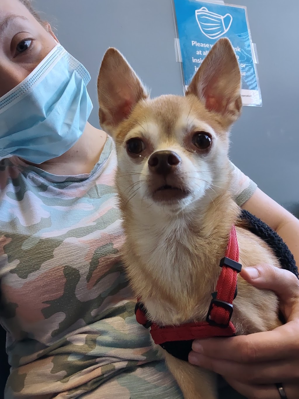 Spryfield Animal Hospital | 320 Herring Cove Rd, Halifax, NS B3R 1V4, Canada | Phone: (902) 477-4040