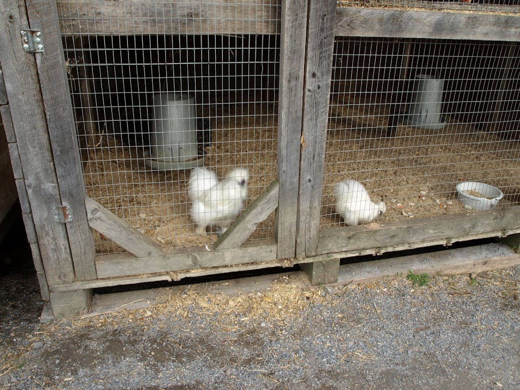 Brunswick Nurseries | 308 Model Farm Rd, Quispamsis, NB E2G 1M3, Canada | Phone: (506) 847-8244
