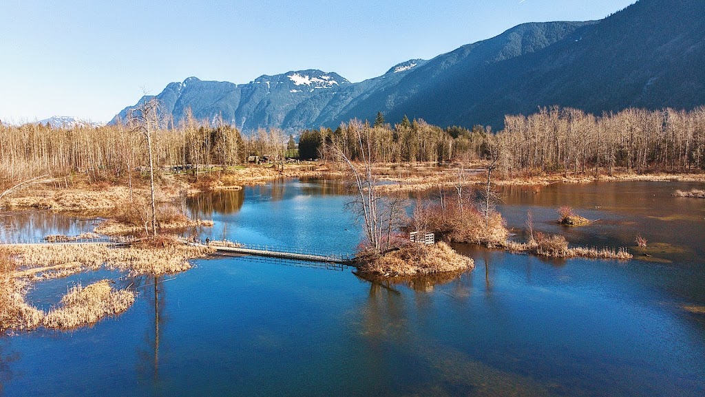 Cheam Lake Wetlands Regional Park | 53480 Elgey Rd, Rosedale, BC V0X 1X1, Canada | Phone: (604) 702-5000