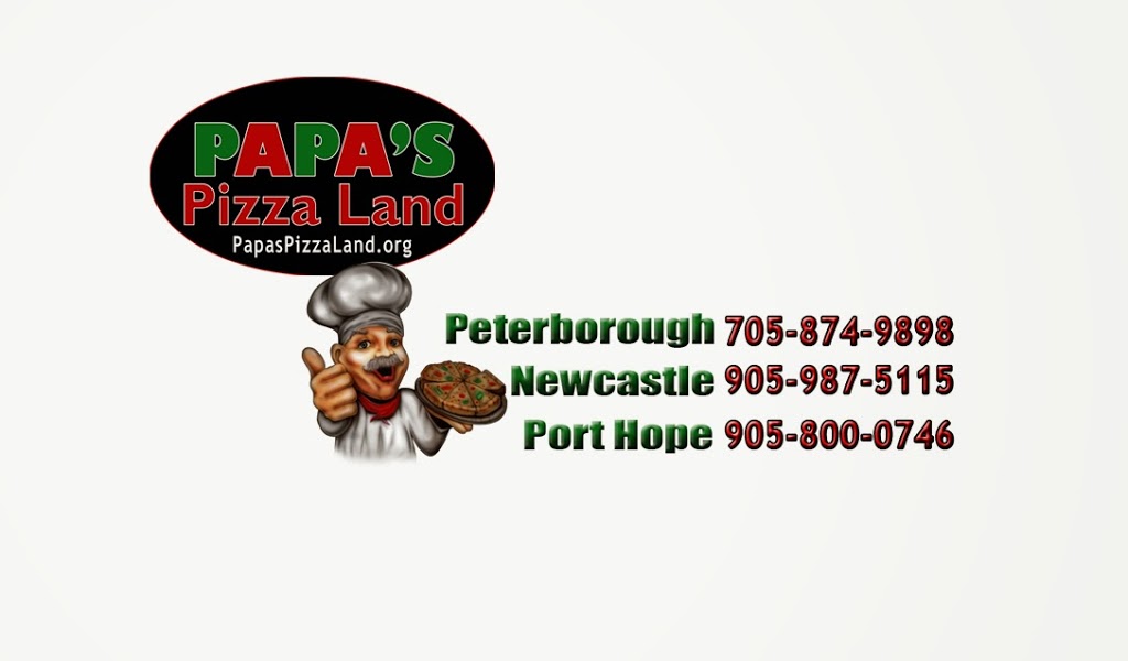 Papas Pizza Land | 361 King Ave E, Newcastle, ON L1B 1H7, Canada | Phone: (905) 987-5115