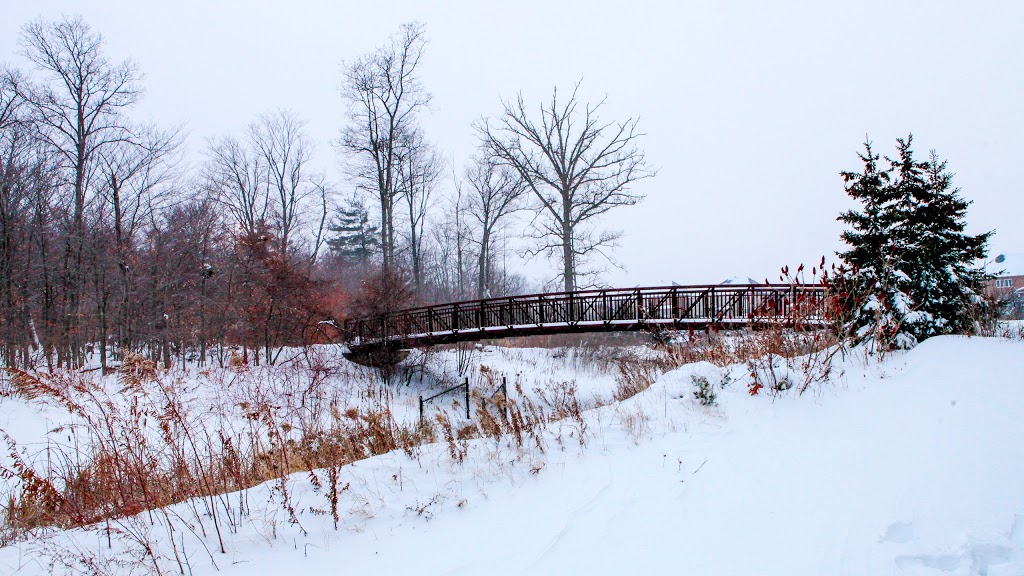 Orchard Woodlot Central | Burlington, ON L7L 6Z1, Canada