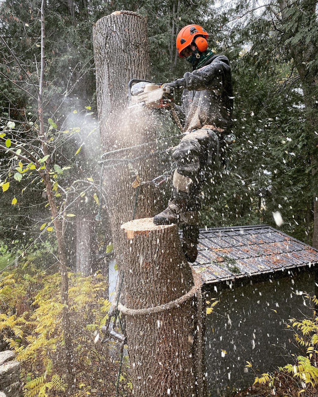 Equity Contracting | 19 St John St, Cannington, ON L0E 1E0, Canada | Phone: (905) 898-9099