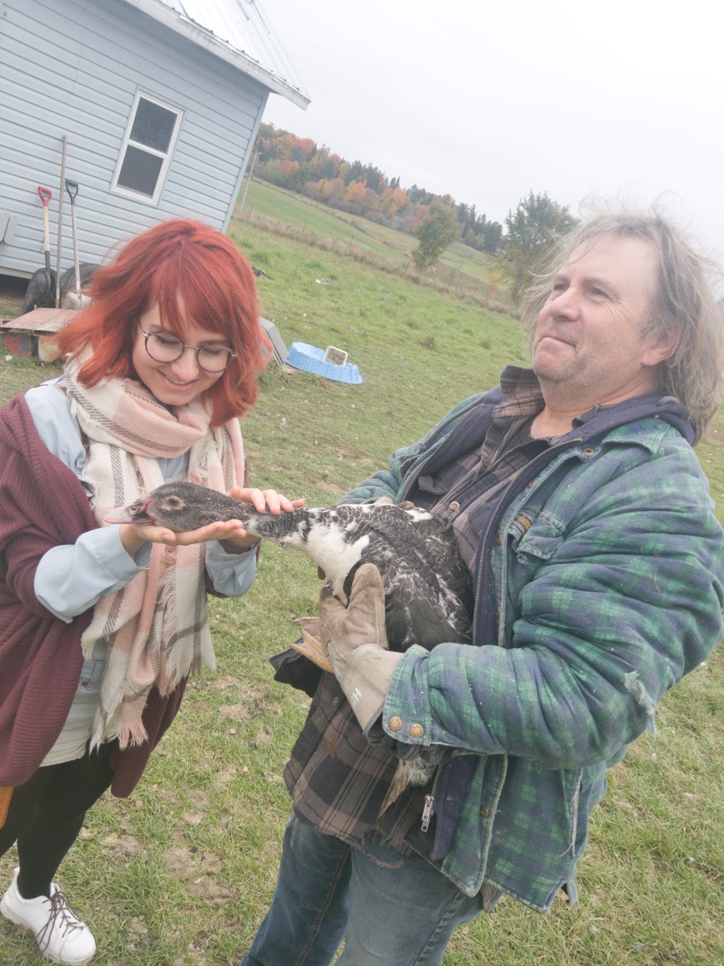 Les canards dabord | 3921 Rang Sainte Anne, Saint-Norbert, QC J0K 3C0, Canada | Phone: (450) 889-5194