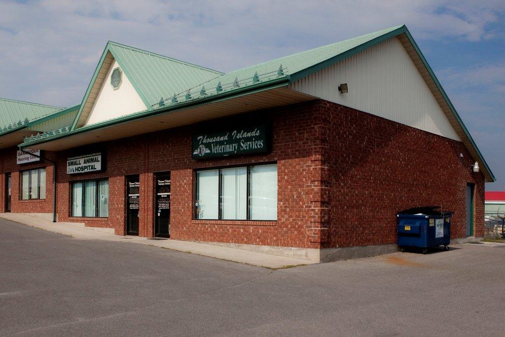 Thousand Islands Veterinary Services | 839 Stone St N, Gananoque, ON K7G 1Z7, Canada | Phone: (613) 382-2900