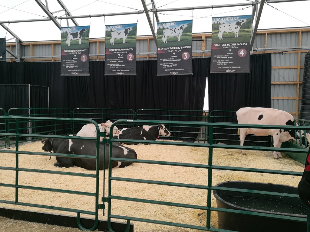 Stratford Fairgrounds | 20 Waddell St, Stratford, ON N5A 6K4, Canada
