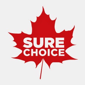 Sure Choice Auto Services Centre Ltd | 1285 Woodbine, East York, ON M4C 4E8, Canada | Phone: (416) 423-9161