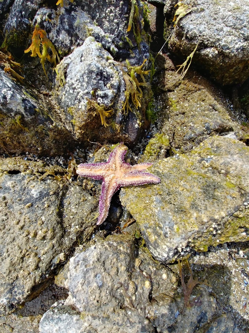 Baker Beach Park | Baker Rd, Madeira Park, BC V0N 2H1, Canada | Phone: (604) 885-6800