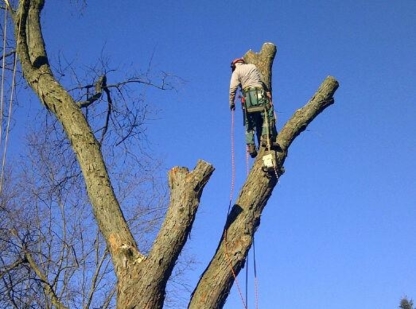 Huron Bay Tree Service | 79 Heather Lynn Blvd, Tara, ON N0H 2N0, Canada | Phone: (519) 934-3545