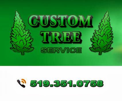 Custom Tree Service | 744 Queen St, Chatham, ON N7M 2K2, Canada | Phone: (519) 359-9876