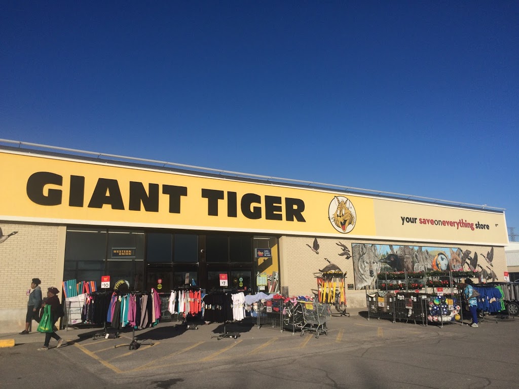 Giant Tiger | 2480 Walkley Rd, Ottawa, ON K1G 6A9, Canada | Phone: (613) 526-2416