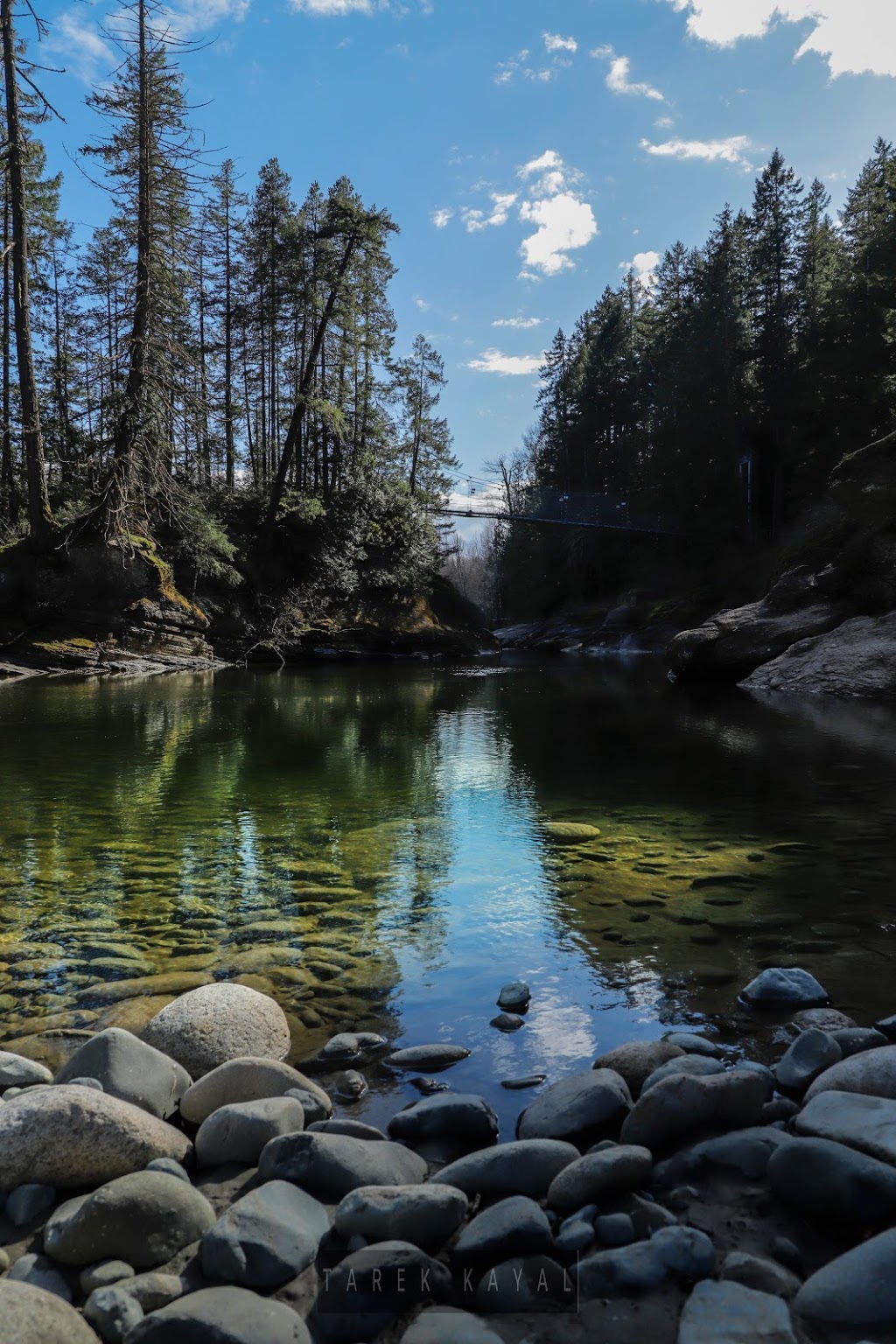 Englishman River Regional Park. / Top Bridge Park,(trail head) | 249 Allsbrook Rd, Parksville, BC V9P 2A8, Canada | Phone: (250) 248-3252