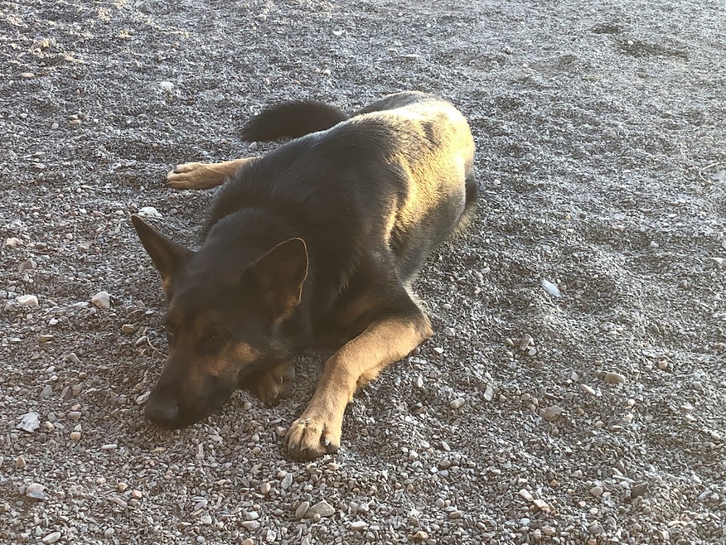 Furry Friends Inn | 1008 Ruggles Rd, Kingston, NS B0P 1R0, Canada | Phone: (902) 825-3208