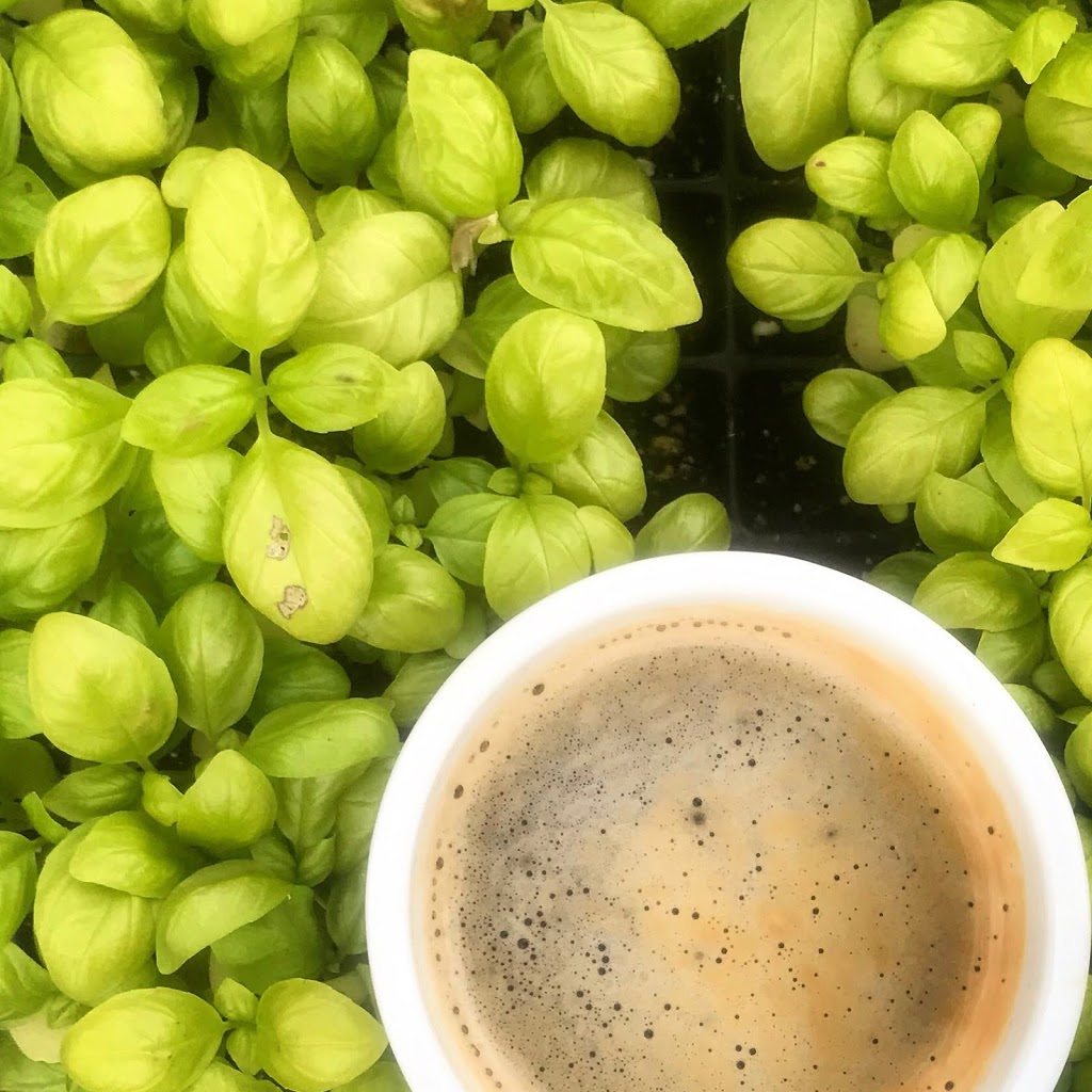 Langford Suites - hosted by 14th Coffee Co. | 69 King St W, Harrow, ON N0R 1G0, Canada | Phone: (519) 980-9939