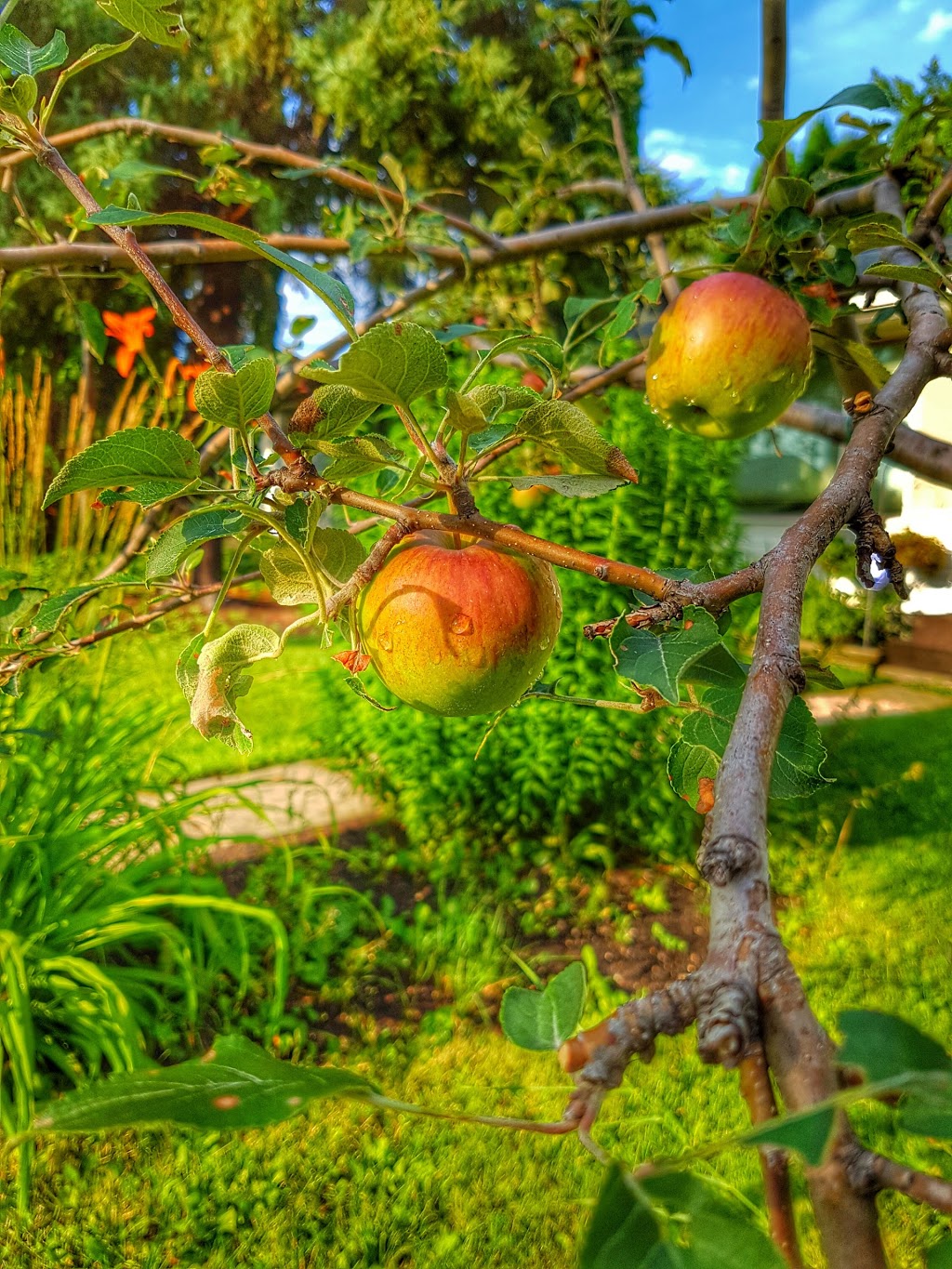 Lanark Gardens | Mathers, Winnipeg, MB R3N, Canada