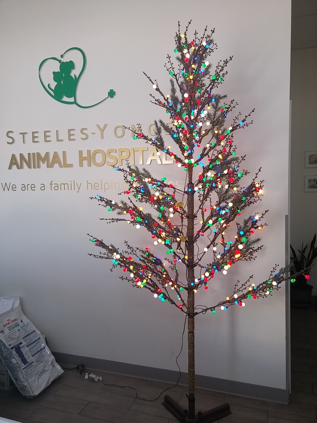 Steeles-Yonge Animal Hospital | 180 Steeles Ave W #15, Thornhill, ON L4J 2L1, Canada | Phone: (905) 597-8387