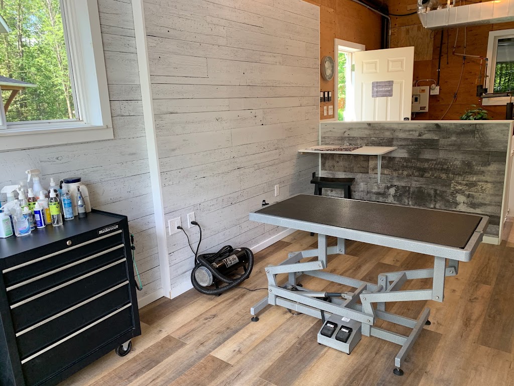 The Laundromutt | 4943 10 Line, Terra Cotta, ON L0P 1N0, Canada | Phone: (905) 580-9065