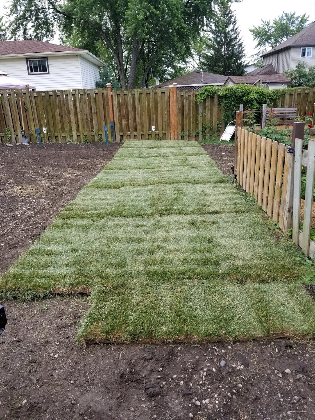 L & M Sod Farms Ltd. | 15511 Essex 8, Oldcastle, ON N0R 1L0, Canada | Phone: (519) 737-7214