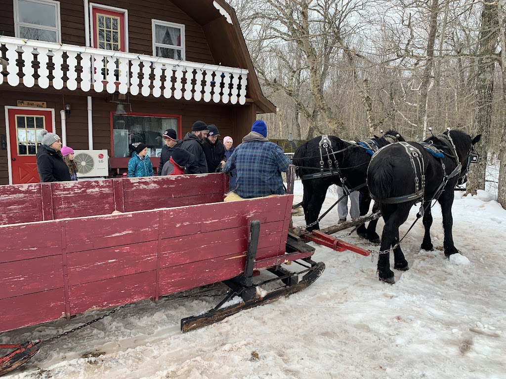 Potts Sleigh Rides | 439 Bonshaw Rd, Bonshaw, PE C0A 1C0, Canada | Phone: (902) 675-2107