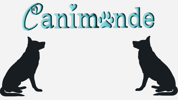 Canimonde | 325 Rue du Domaine, Sainte-Sophie, QC J5J 1K9, Canada | Phone: (450) 660-4619