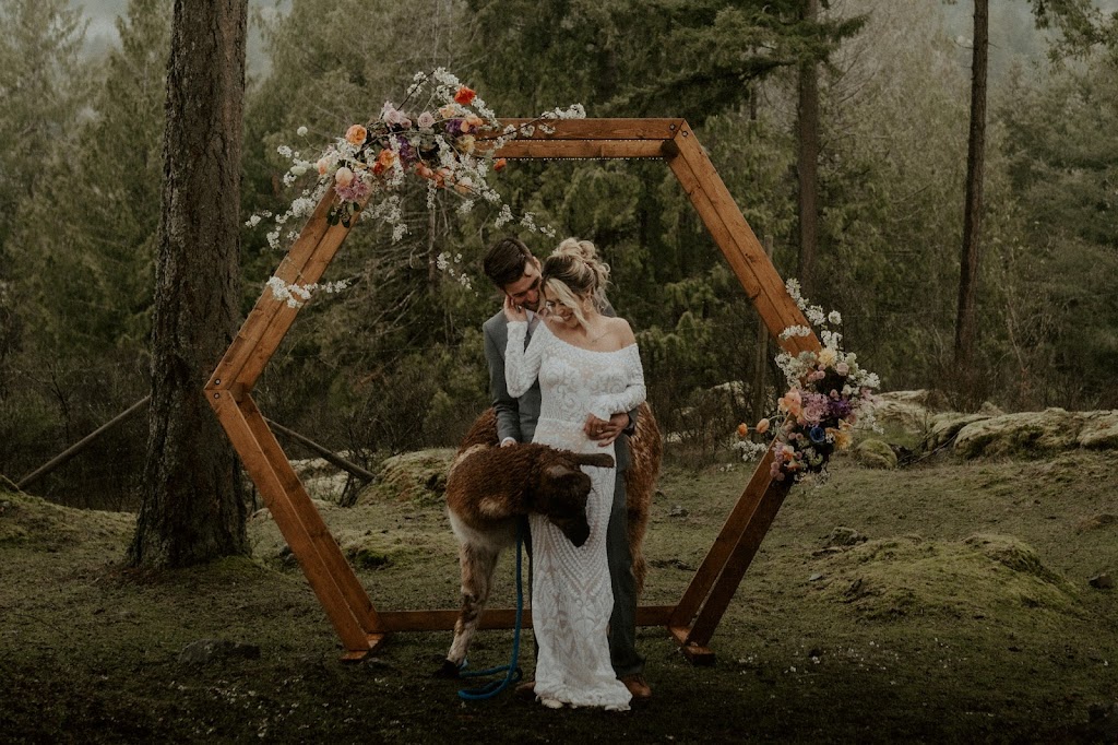 Kea Mowat Photography | 9093 Faber Rd, Port Alberni, BC V9Y 9C1, Canada | Phone: (778) 222-9424