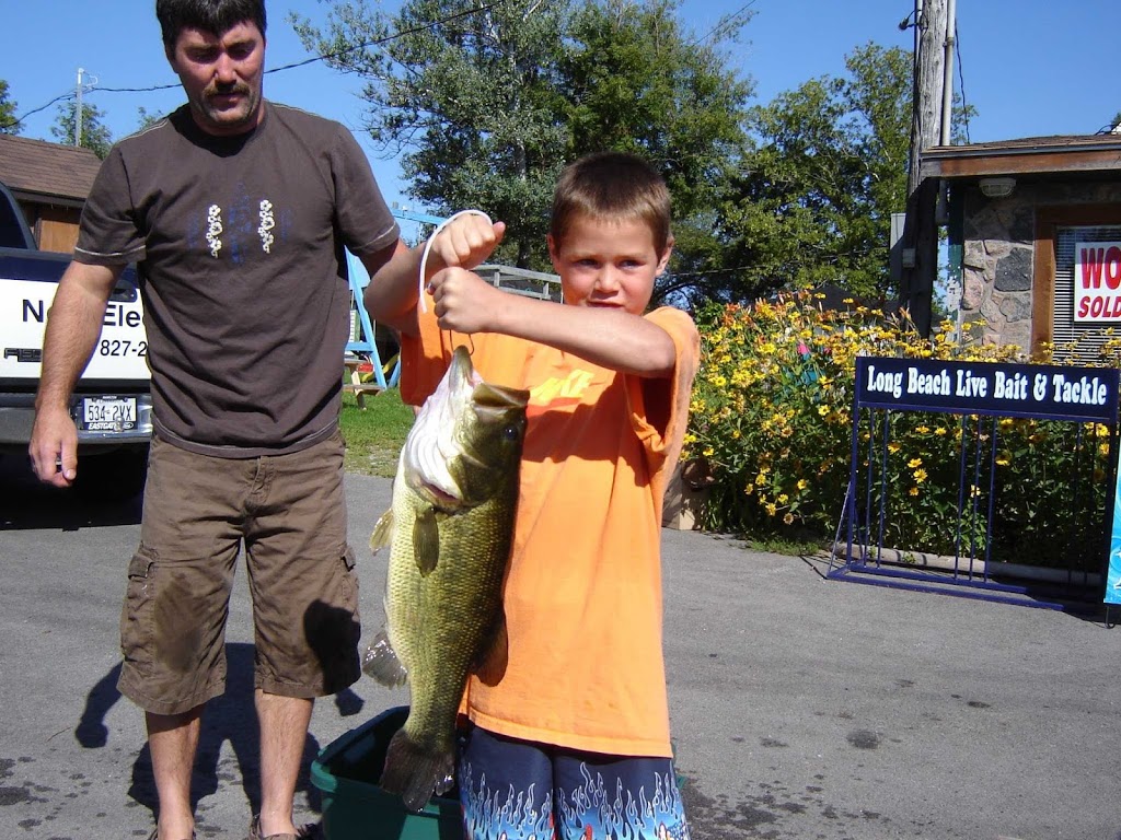 Lakeview Cottages on Sturgeon Lake | 429 Long Beach Rd, Cameron, ON K0M 1G0, Canada | Phone: (705) 359-3707