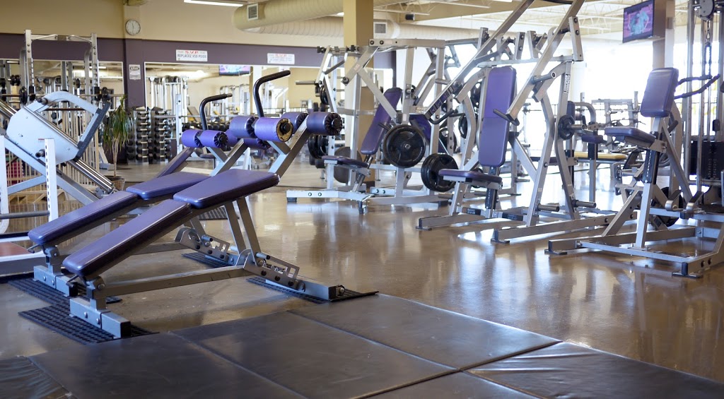 Gym Elitys | 50 Rue de la Gabelle, Varennes, QC J3X 2A2, Canada | Phone: (450) 929-4449