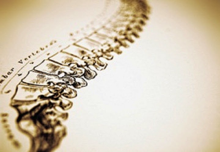 Dr. Sylvie Oliveira | 118 Runnymede Rd, Toronto, ON M6S 2Y3, Canada | Phone: (416) 763-2223