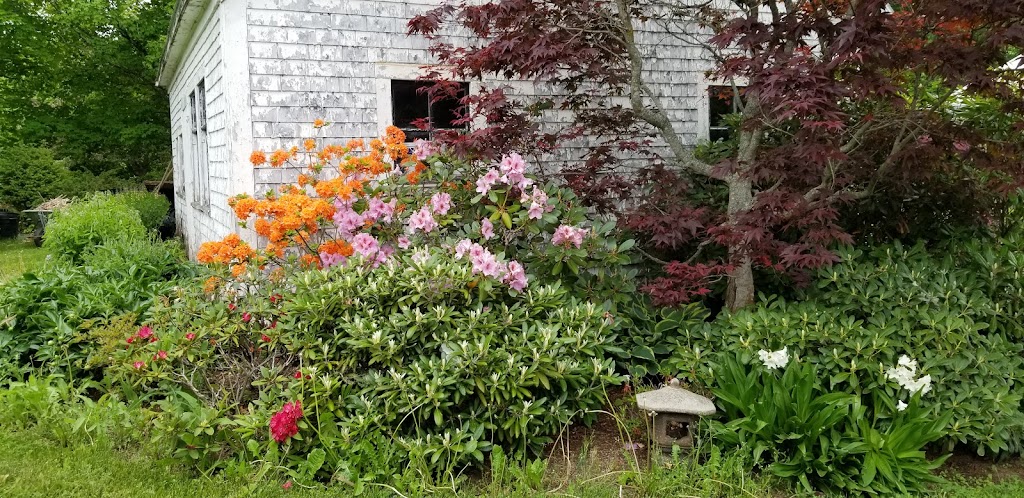 The Briar Patch Farm & Nursery | 4568 Highway #1, South Berwick, NS B0P 1E0, Canada | Phone: (902) 538-9164