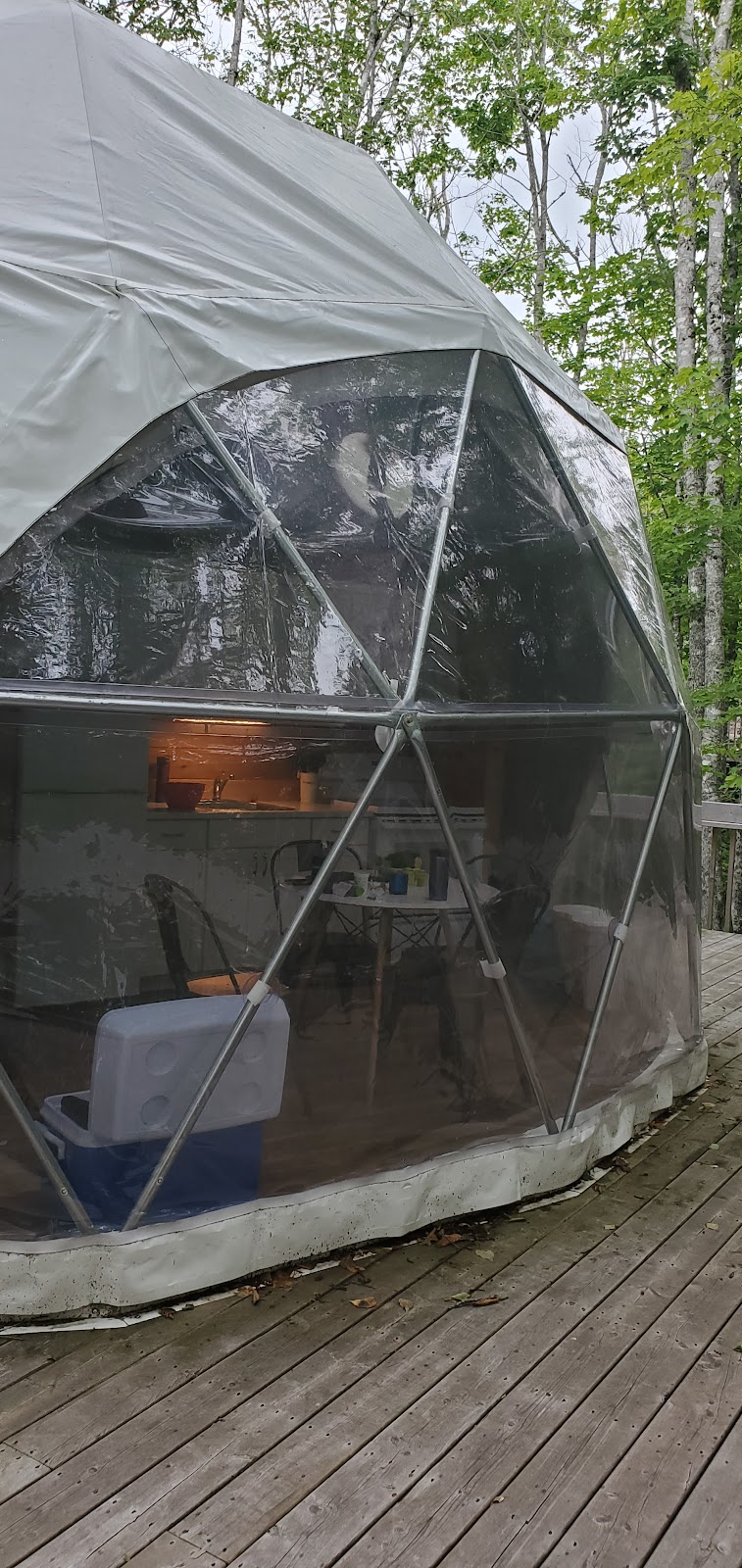 Treetop Haven | 1210 Mt Tryon Rd, Albany, PE C0B 1A0, Canada | Phone: (902) 439-0267