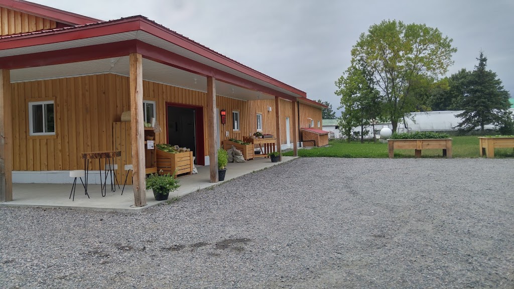 Jardins Bio Campanipol | 5 Chemin Campanipol, Sainte-Geneviève-de-Batiscan, QC G0X 2R0, Canada | Phone: (418) 362-2468