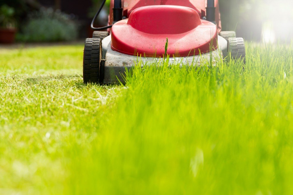 JR Lawn Mowing | 12219 102a Ave, Surrey, BC V3V 8A7, Canada | Phone: (778) 231-7699