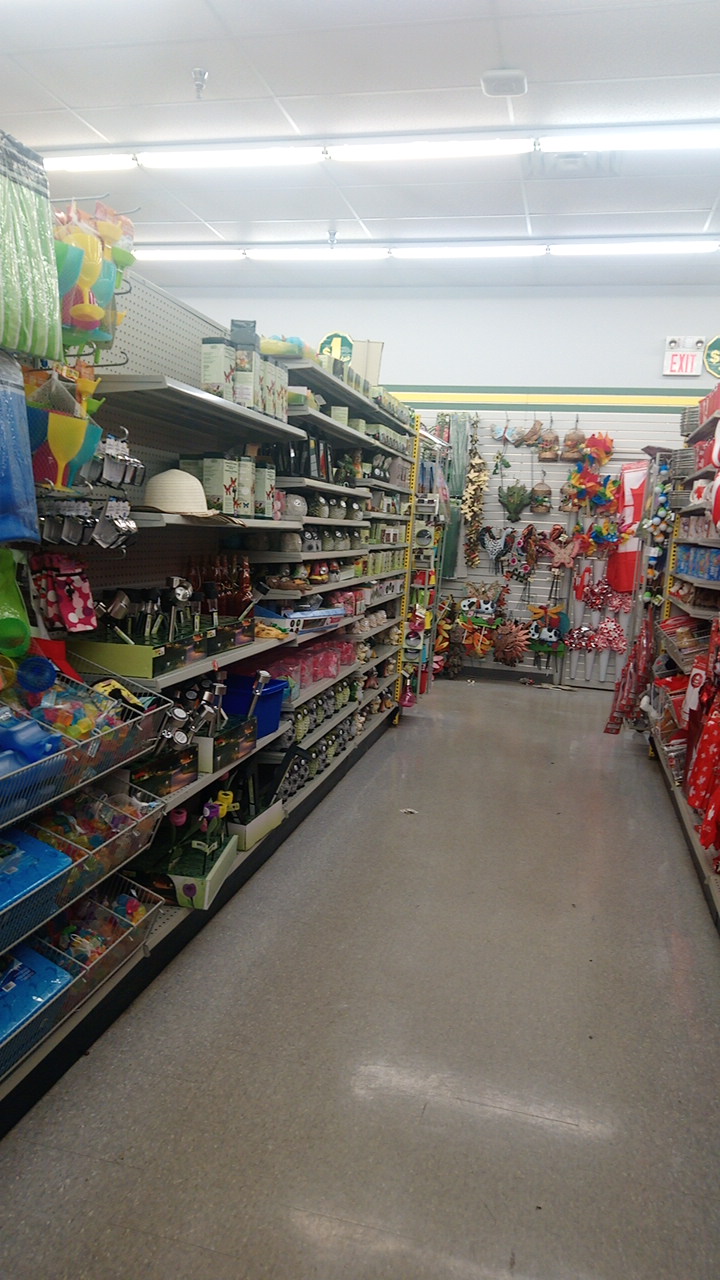 Dollarama | 5415 Tecumseh Rd E, Windsor, ON N8T 1C5, Canada | Phone: (519) 974-2096