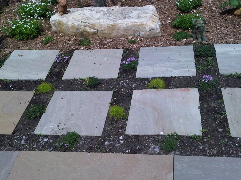 Mary-Jo Melnyk Garden Designs | 255 Glenabbey Dr, Courtice, ON L1E 1Y6, Canada | Phone: (289) 893-3000