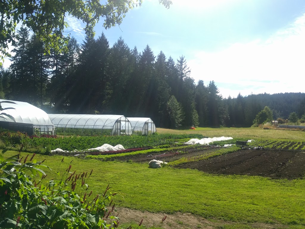 Stowel Lake Farm | 190 Reynolds Rd, Salt Spring Island, BC V8K 1Y3, Canada | Phone: (250) 653-4308