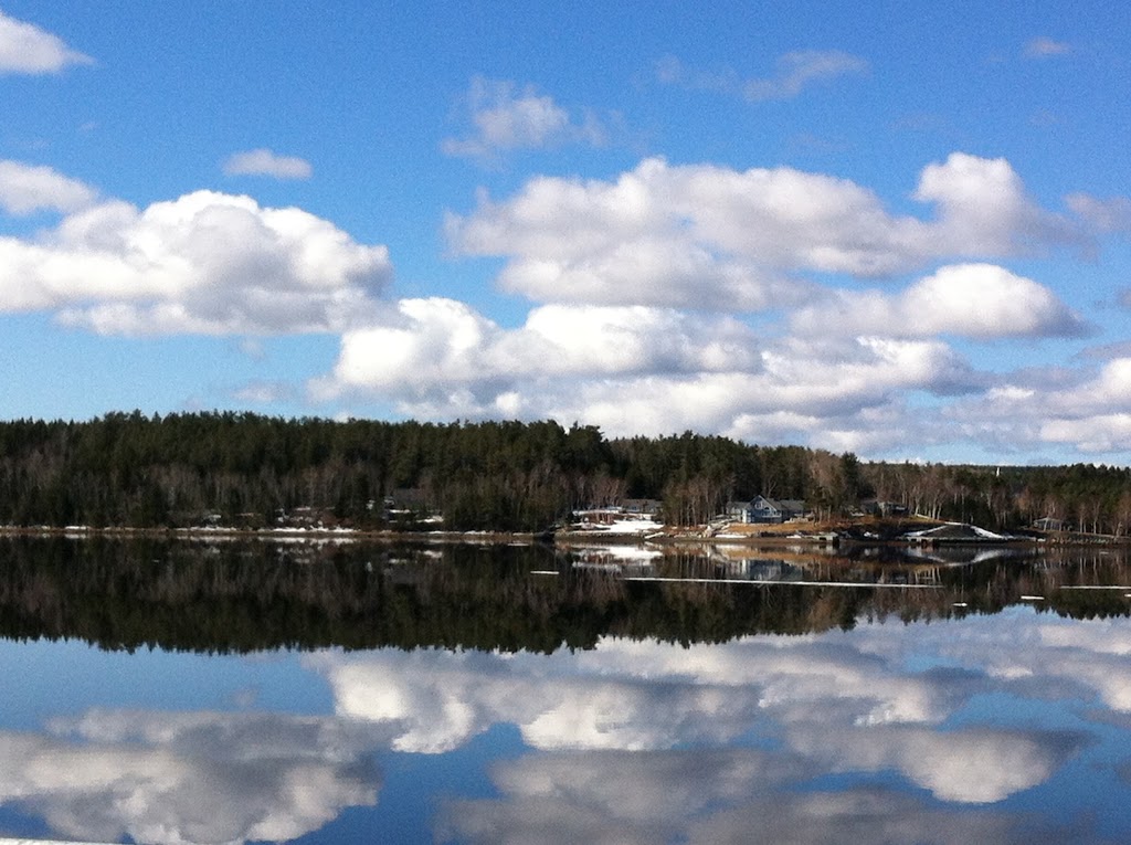 Lahave River Berry Farm Inc. | 5216 NS-332, Middle LaHave, NS B4V 3L9, Canada | Phone: (902) 766-4534
