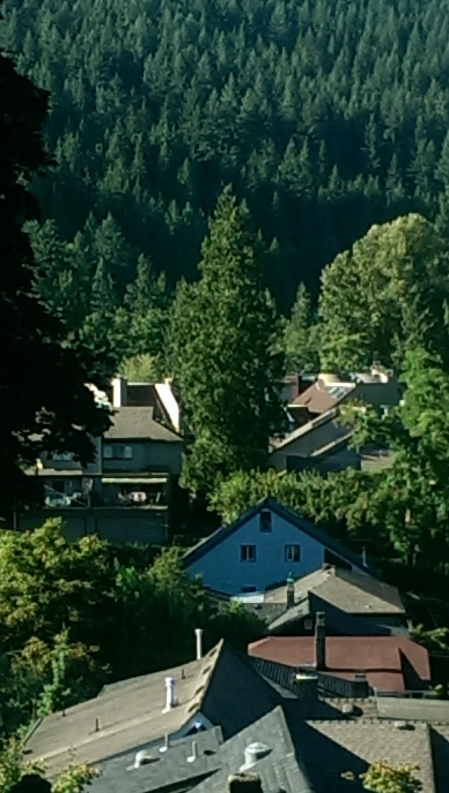 Cove View Accommodation | 1955 Banbury Rd, North Vancouver, BC V7G 1W6, Canada | Phone: (778) 888-6250
