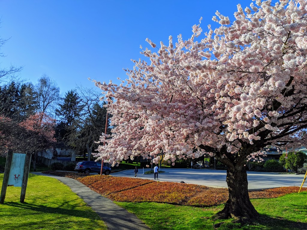 Willingdon Heights Park | 1491 Carleton Ave, Burnaby, BC V5C 4V5, Canada | Phone: (604) 294-7450