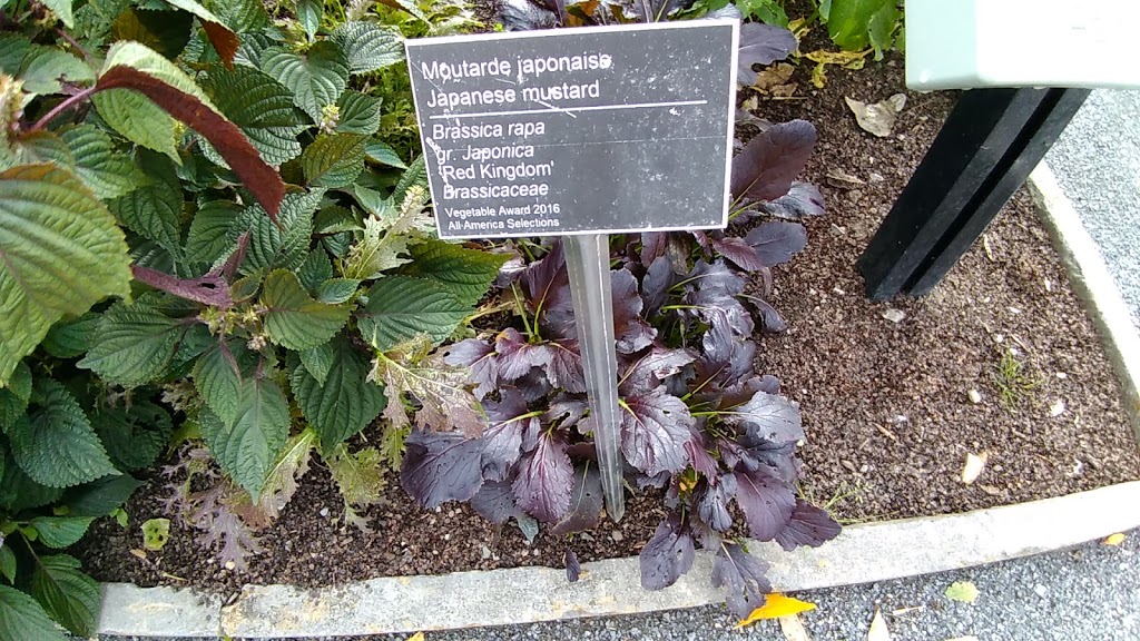 Useful Plants Garden | Montreal, QC H1X 2B4, Canada